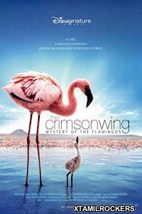 The Crimson Wing Mystery of the Flamingos (2008) Telugu Dubbed